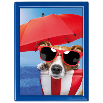 Klapprahmen Colour Frame 14mm