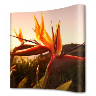 Pop-Up Magnetic Curved